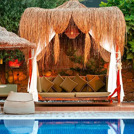 Palmonte & Hotel 3*