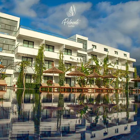 Hotel Palmonte & 3*