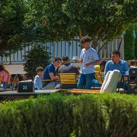 Hotel Palmonte & 3*