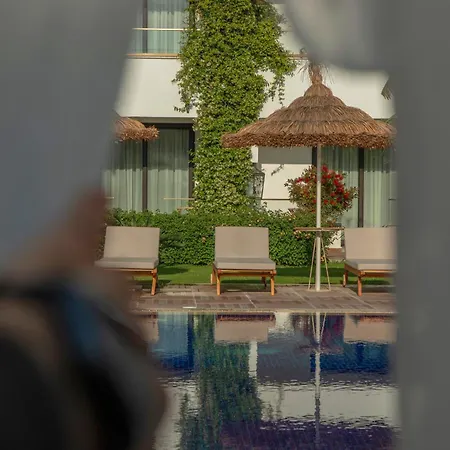 Hotel Palmonte &